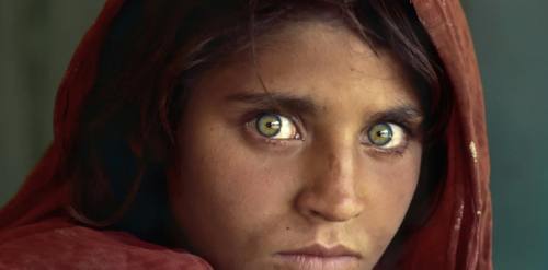 دختر افغان استیو مک کوری